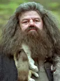 Bild på Rubeus Hagrid