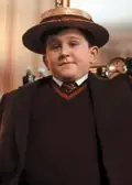 Bild på Dudley Dursley