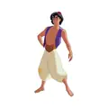 Bild på Aladdin
