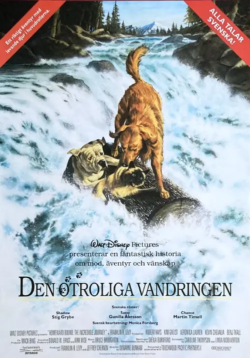 Affisch för Den otroliga vandringen