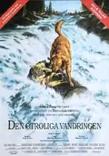 Affisch för Den otroliga vandringen