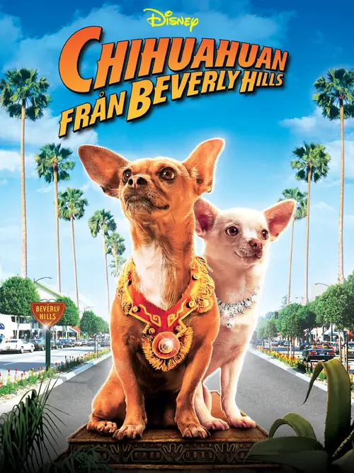 Affisch för Chihuahuan från Beverly Hills