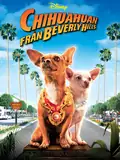 Affisch för Chihuahuan från Beverly Hills
