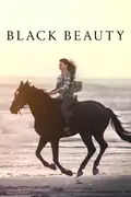 Affisch för Black Beauty