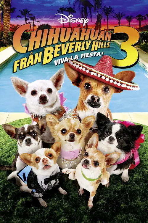 Affisch för Chihuahuan från Beverly Hills 3