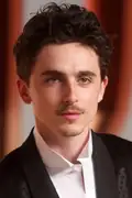 Porträtt av Timothée Chalamet